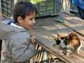 Belagh slami ila ldjaza�r