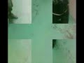 Freestyl\ Freestyl\