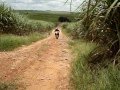 Trilha de moto XLX 350 R - Motocross