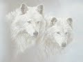 wolf spirit is in your heart