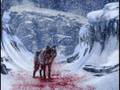 loups....