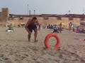 Can Mach fit through a Lifesaving Ring