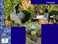Mantenimiento Suelo. Manzano Cuidados de Invierno (Parte 2)