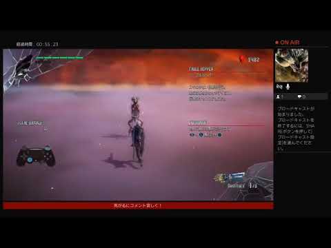 動画
