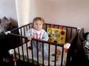 Ivy in staand in box