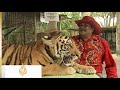 Zoos are supposed to be about conservation and helping animals. But wildlife experts say some zoos, particularly those that are privately funded, all too often engage in the illegal wildlife trade. At one zoo in southern Malaysia, Al Jazeera was offered several animals for sale including leopard cats, which are protected by international conventions banning their trade. Al Jazeera's Laura Kyle reports (23 Mar 2010)