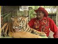 Wildlife for sale at Malaysia zoos 3