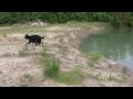 See video