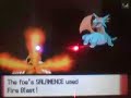 Pokemon D/P Wi-Fi Battle REDLITE V.S Hawke Pokemon D/P Wi-Fi Battle REDLITE V.S Hawke