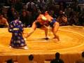 videos de Sumo basho