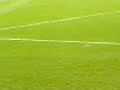 elano freekick elano freekick