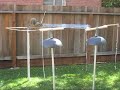 Day 16 Squirrel Obstacle Course Day 16 Squirrel Obstacle Course