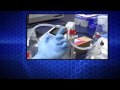 Biomanufacturing Products from Living Cells