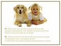 10 Pedidos de um cão ao seu dono
