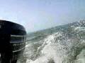 Yam 300s + Mercury 7,5 hp