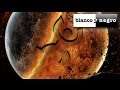 Jack Smeraglia & G.E.M. Yo Te Siento Asi Official Music Video and Lyrics