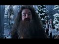 pez-tiburon-harry-potter-style.html