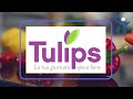 Sponsor Tulips