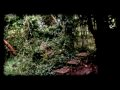 Crystal Poison - Directors Commentary