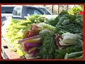 Get Christmas Gifts at the German Coast's Farmer's Market