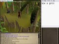 RuneScape-how to chop down teak logs