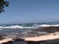 Whale Watcing Pacific Ocean