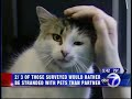 Petplan Pet Insurance - Pet Owner Survey Petplan Pet Insurance - Pet Owner Survey
