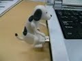 USB dog