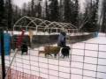 MVI_0817.AVI