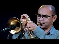 Solo de flugelhorn IV