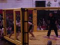 Evan Adkins vs Jordan Kimes MMA