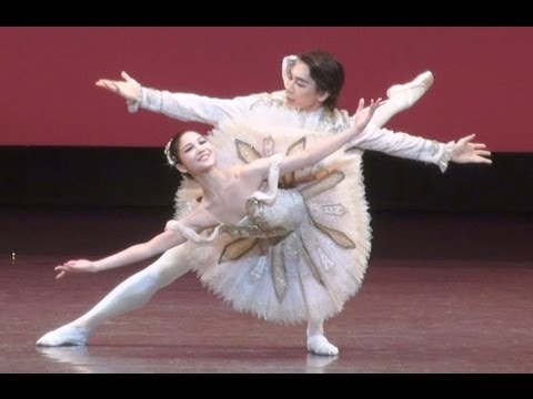 バレエ菅井円加さんが神奈川フィルと共演/神奈川新聞（カナロコ）