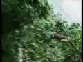 i dug this up. i was mainly recording the strong wind of hurricane wilma outside my front door. but my precious mr2. which was ugly at the time was getting spanked by terrential rains. anyway have a look. its only a minute long anyway