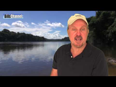 ANACONDA vs DIVER - Amazon River Monsters
