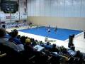 GOLDEN GATE POM TEAM