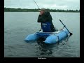 Pike fighting Pike fighting