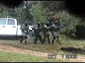 Flash Bang