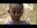 lord of the flies
