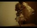 Cloe: Dance Practice