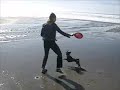 Fun clips of us and our critters