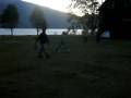 videos de Pichangueros Baratos 1.0