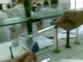 Laboratorio tecnica farmaceutica CAPSULE mads doctors Urbino