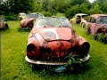 VW beetle heaven