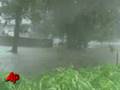 Raw Video: Fay Drenches Jacksonville