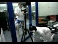 Idiot with shotgun