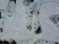 videos de poto rentrant 1