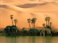 *Ali Married his Daughter to Umar*By our Shaykh Dr Saleh As Saleh Rahimuhallah who was  one of the students of the late Shaykh Uthaymeen Rahimuhallah.Please Vist his site there are up to 8GB of lectures, articles, books from which you can benefit insha Allah His website is www.understand-islam.netMay Allah swt accept this as sadaqatul jariyah for our Shaykh Rahimuhallah