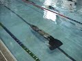 Valeria Somma Apnea Dinamica 117,70 mt. C.I. Roma 2004