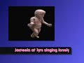 My baby cousin singing