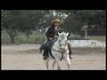 videos de ALFAYED video clip (lulys) soto